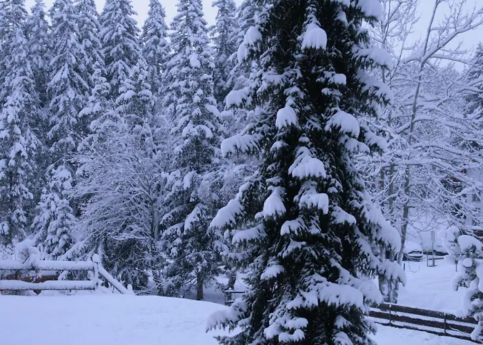 Apartamento Heidaway *